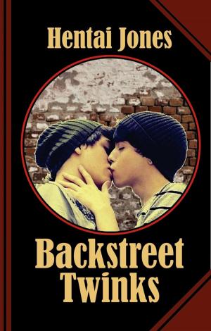 Cover of the book Backstreet Twinks by Daniel Kempe