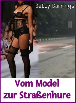 Cover of the book Vom Model zur Straßenhure by Wilfried A. Hary