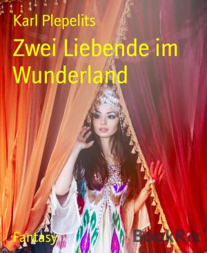Cover of the book Zwei Liebende im Wunderland by Martin Auer