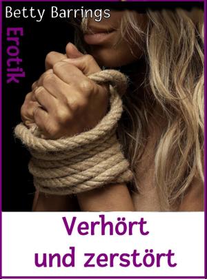 Cover of the book Verhört und zerstört by Karl Glanz