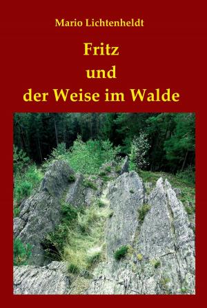 Cover of the book Fritz und der Weise im Walde by Farina Eden