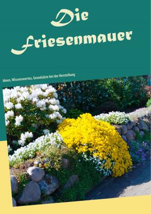 Book cover of Die Friesenmauer