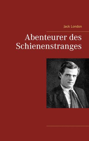 Cover of the book Abenteurer des Schienenstranges by Anke Beyer