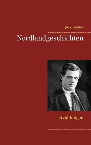 Cover of the book Nordlandgeschichten by Frederick William Dame