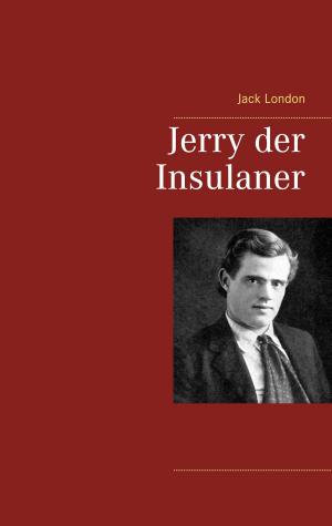 Cover of the book Jerry der Insulaner by Jürgen Ehlers