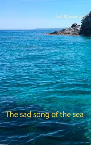 Cover of the book The sad song of the sea by Wolfgang M. Lehmer