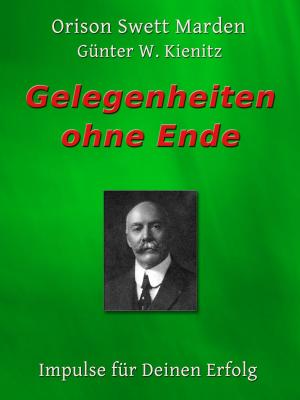 Cover of the book Gelegenheiten ohne Ende by Inna Turchyn