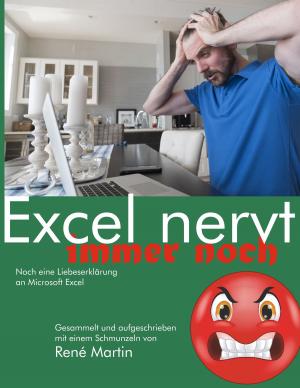 Cover of the book Excel nervt immer noch by Volker Allwicher