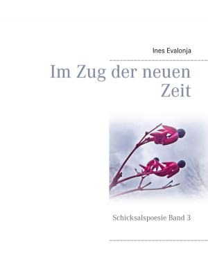 Book cover of Im Zug der neuen Zeit