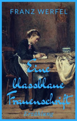 Cover of the book Eine blassblaue Frauenschrift by Michael Moos