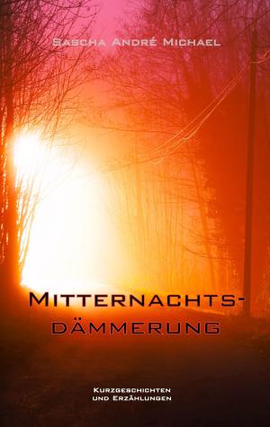 Cover of the book Mitternachtsdämmerung by Harry Eilenstein