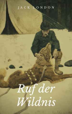 Cover of the book Ruf der Wildnis by Norman Liebing