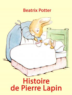 Cover of the book Histoire de Pierre Lapin by Johanna Spyri