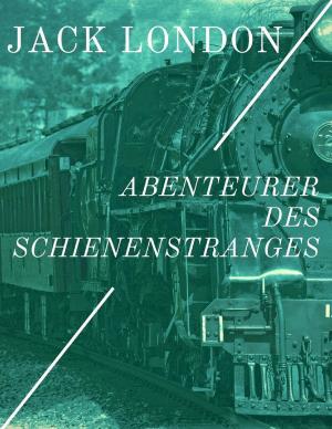 Book cover of Abenteurer des Schienenstranges