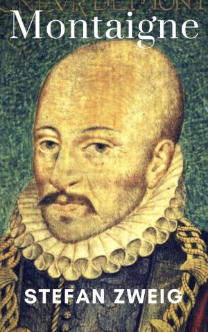 Cover of the book Montaigne by Alessandro Dallmann