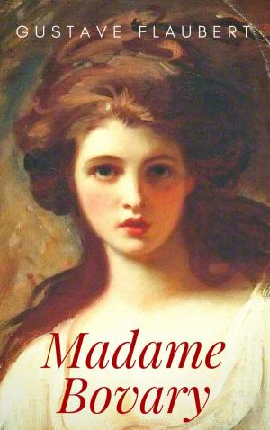 Cover of the book Gustave Flaubert: Madame Bovary. Sitten in der Provinz by Renate Gatzemeier