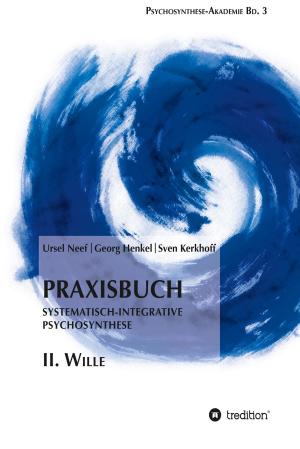 Cover of the book Praxisbuch Systematisch-Integrative Psychosynthese: II. Wille by Manfred Theisen