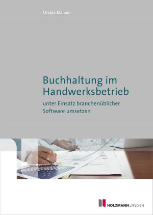 Cover of the book Buchhaltung im Handwerksbetrieb unter Einsatz branchenübl. Software umsetzen by Tobias Scheel, Jörg Knies, Bernd-Michael Hümer, Reinhard Ens
