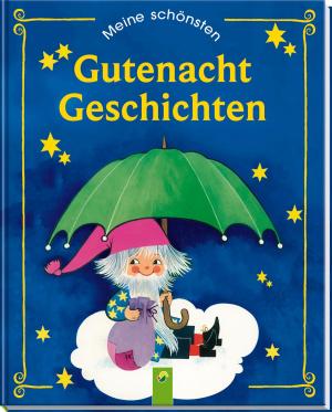 Cover of the book Meine schönsten Gutenachtgeschichten by Wilhelm Busch, Heinrich Hoffmann, Theodor Storm