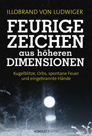 Cover of the book Feurige Zeichen aus höheren Dimensionen by Cait Johnson