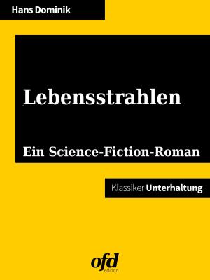 Cover of the book Lebensstrahlen by Luisa Paapke