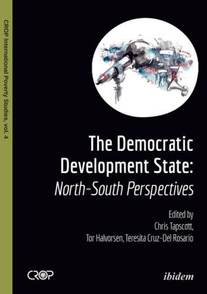 Cover of the book The Democratic Developmental State by 