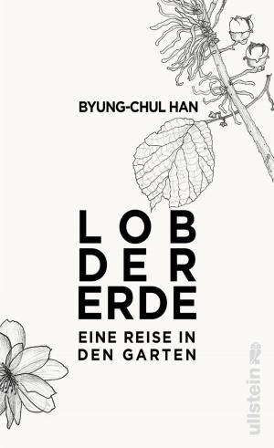 Cover of the book Lob der Erde by David R. Hamilton