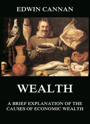 Cover of the book Wealth: A Brief Explanation of the Causes of Economic Wealth by Sophie von La Roche