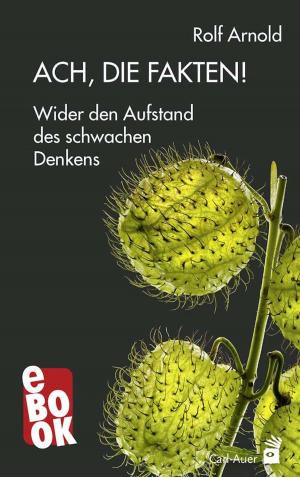 Cover of the book Ach, die Fakten! by Stefan Eikemann