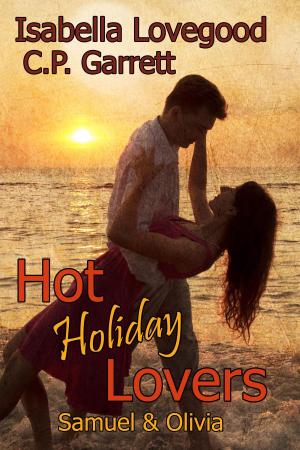 Book cover of Hot Holiday Lovers