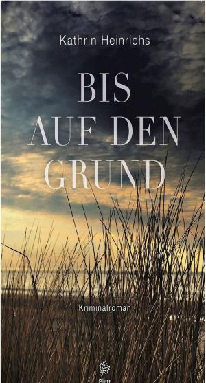 Book cover of Bis auf den Grund