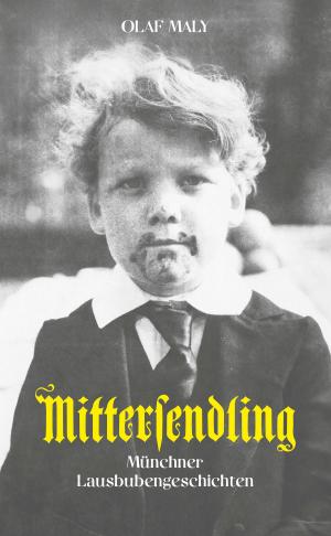 Book cover of Mittersendling