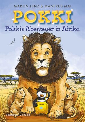 Cover of the book Pokki by Betsy Streeter