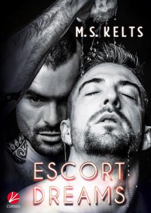 Cover of the book Escort Dreams by Anna Zabo