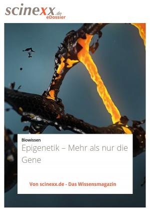 Cover of the book Epigenetik – Mehr als nur die Gene by P. Paul Matthews
