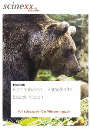 Cover of the book Höhlenbären by Dieter Lohmann