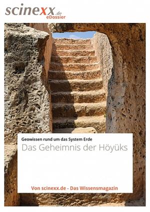 Cover of the book Das Geheimnis der Höyüks by Dieter Lohmann
