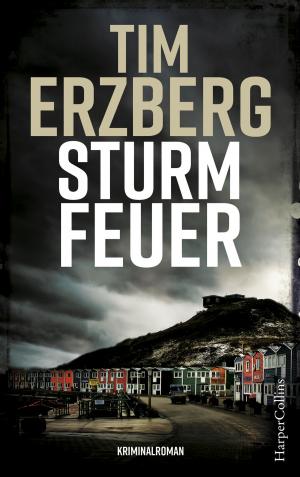 Cover of the book Sturmfeuer by Simon Jenner