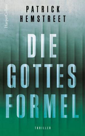 Cover of the book Die Gottesformel by Kim Aleksander
