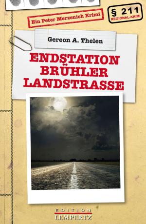 Cover of the book Endstation Brühler Landstraße by Johanna Spyri