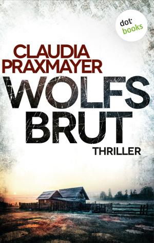 Cover of the book Wolfsbrut by Andreas Liebert