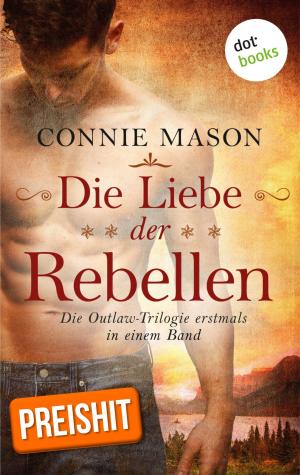 Cover of the book Die Liebe der Rebellen by Thomas Lisowsky