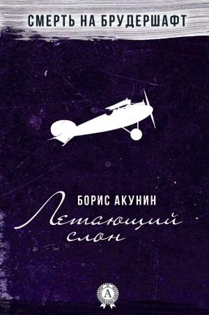 Cover of the book Летающий слон by Георг Гегель