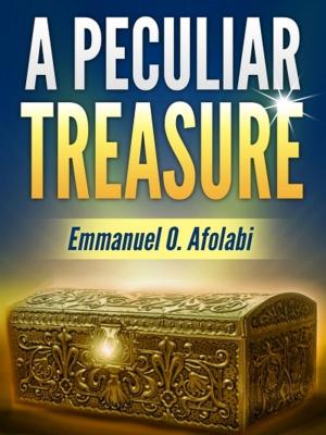 Cover of the book A Peculiar Treasure by Brianna Callum