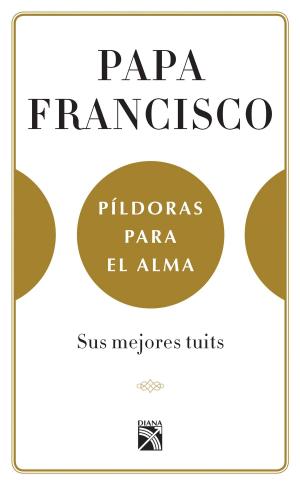 Cover of the book Píldoras para el alma (Edición mexicana) by Ali Bouzari