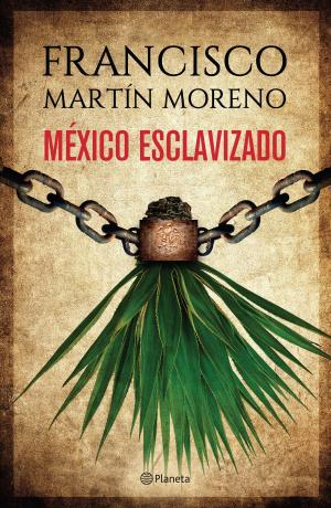 Cover of the book México esclavizado by María Oruña
