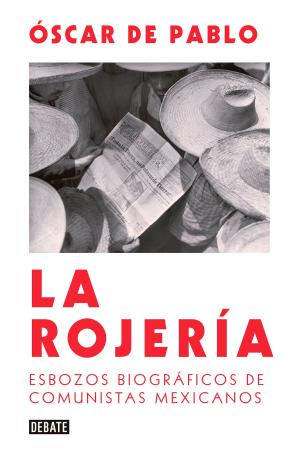 Cover of the book La rojería by Ignacio Padilla