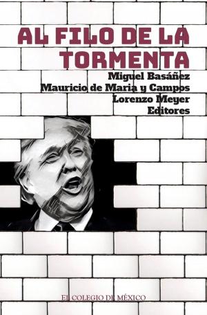Cover of the book Al filo de la tormenta by Adrián Muñoz