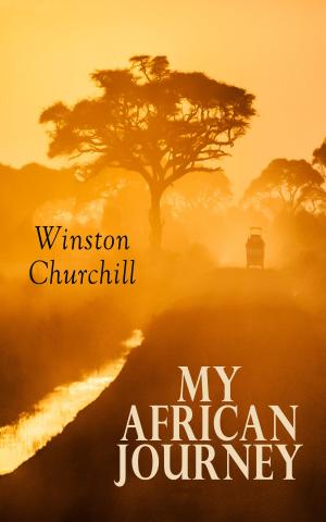 Book cover of My African Journey