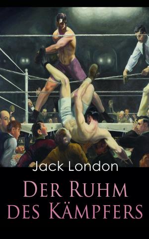 Cover of the book Der Ruhm des Kämpfers by Walther Kabel
